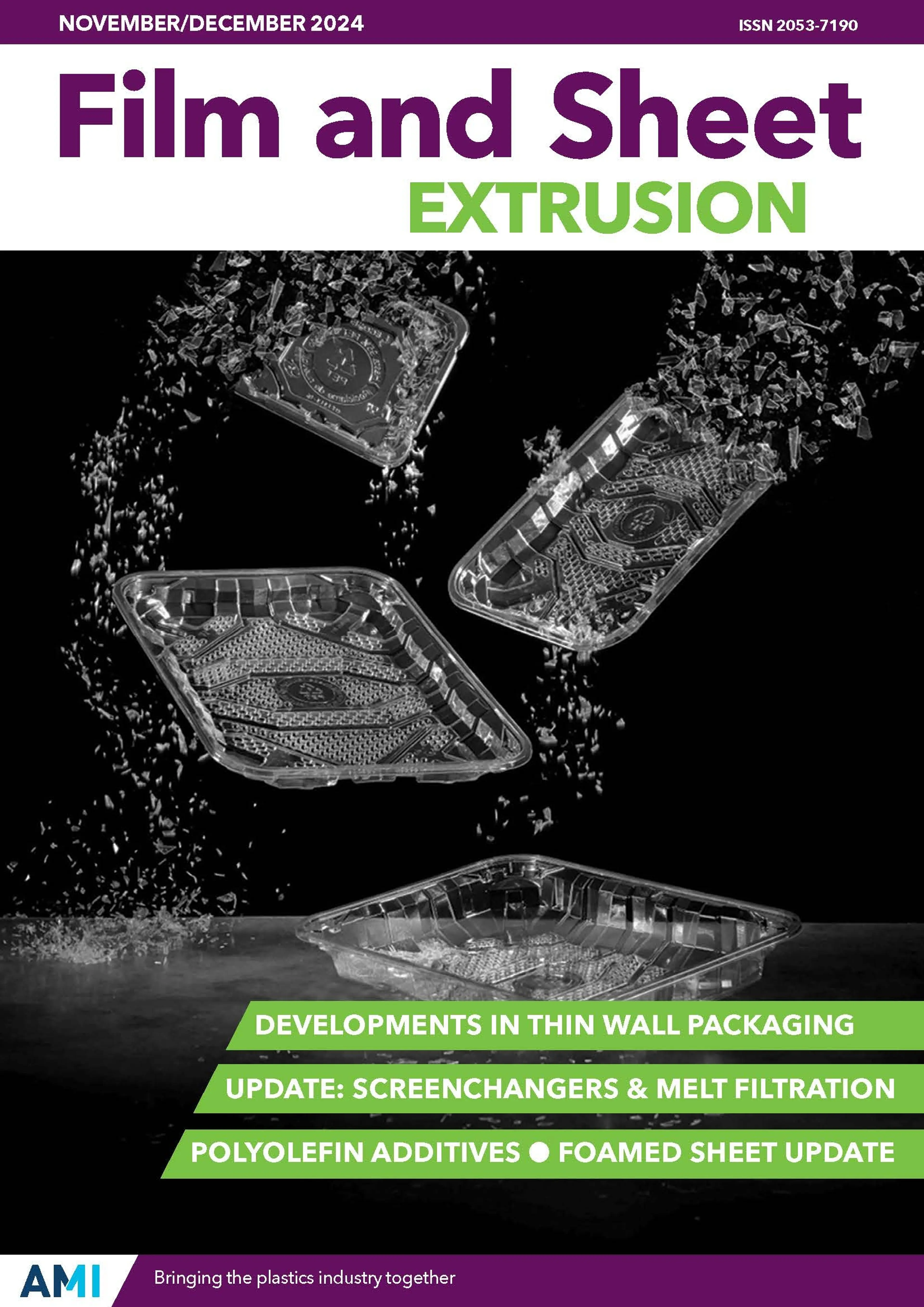 Cover of AMI's Nov/Dec 2024 issue of Film and Sheet Extrusion Magazine